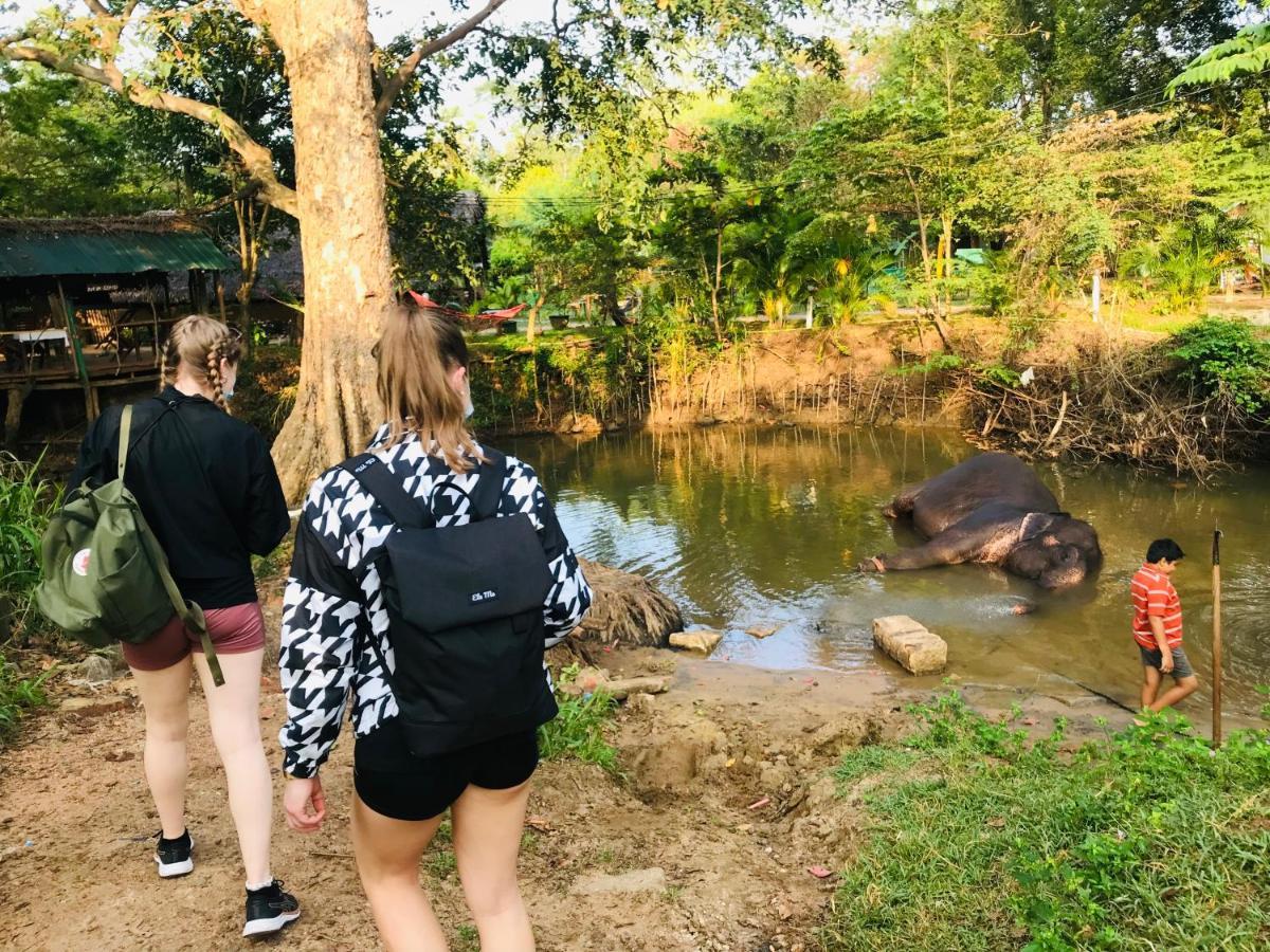 Dambulla Tourist Resort Luaran gambar